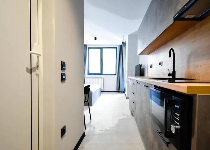 アパート 6 6 Bathrooms 2 Levels Kitchens ソフィア